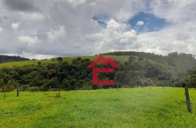 Piedade sp- sitio com 30.000m² . toda área esta com pastagem e atualmente arrendada para criação de gados, com nascente e riacho na divisa,