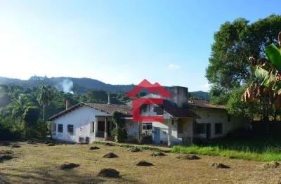 Chácara à venda, 5000 m² por r$ 580.000,00 - taipas de pedra - são roque/sp