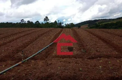 Área à venda, 411400000 m² por r$ 3.000.000,00 - cocais - ibiúna/sp