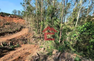 Terreno à venda, 2154 m² por r$ 350.000,00 - jardim santa paula - cotia/sp