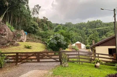 Chácara / sítio com 4 quartos à venda na Vicente Pietro, 6000, Pinhal Alto, Nova Petrópolis