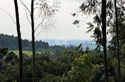 Chácara / sítio à venda na Rua Antônio Schoeler, 111, Linha Imperial, Nova Petrópolis