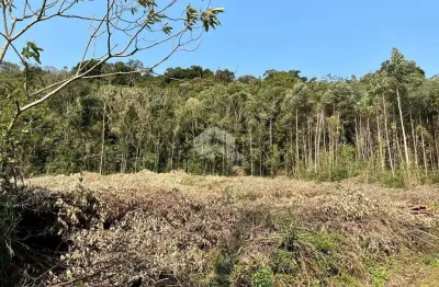 Chácara / sítio à venda na Rua Antônio Schoeler, 111, Linha Imperial, Nova Petrópolis
