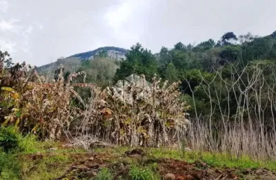 Chácara / sítio à venda na Linha Riachuelo, 100, Linha Brasil, Nova Petrópolis