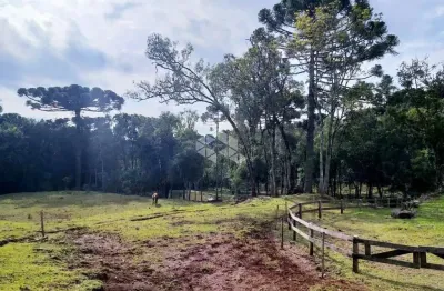 Chácara / sítio à venda na Antonio Schoeller, 1001, Linha Imperial, Nova Petrópolis