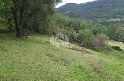 Área de terras com 11.777,62 m²  em linha pirajá, nova petrópolis