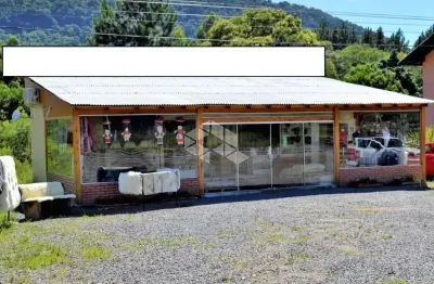 Chácara / sítio à venda na Rs 235, 1, Linha Araripe, Nova Petrópolis