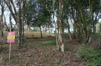 Terreno à venda na Geral Fazenda Pirajá, 1, Vila Germania, Nova Petrópolis