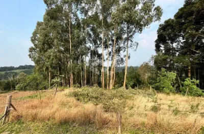 Terreno à venda na Otto Ritter, 1, Vila Germania, Nova Petrópolis