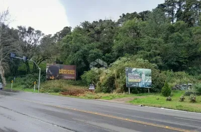 Terreno à venda na Br 116, 200, Bavária, Nova Petrópolis