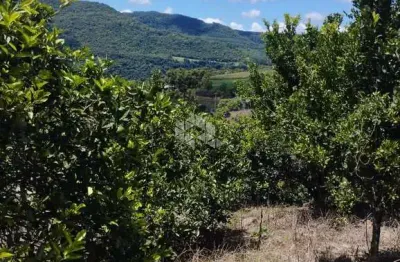 Terreno à venda na Pedro Weber, 1, Pinhal Alto, Nova Petrópolis