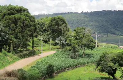 Chácara na localidade de nove colônias, cidade de nova petrópolis na serra gaúcha.