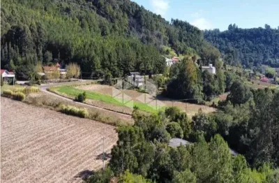 Terreno de 5,129,46 m² próximo a rs 235 na linha imperial