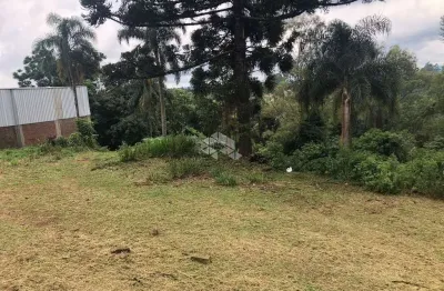 Terreno com vista panorâmica no pinhal alto em nova petrópolis