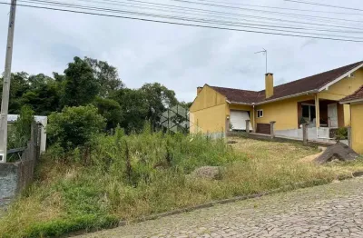 Terreno à venda na Bela Vista, 600, Logradouro, Nova Petrópolis