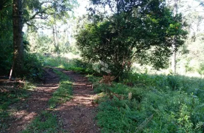 Chácara / sítio à venda na Vicente Prieto, 10761, Pinhal Alto, Nova Petrópolis
