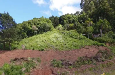 Terreno à venda na Da Cascata, 16008, Piá, Nova Petrópolis