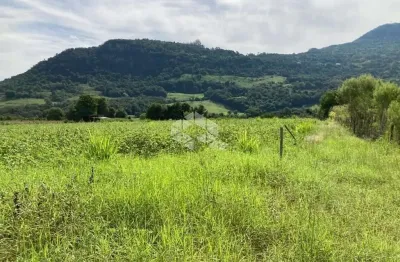 Chácara / sítio à venda na Estrada Sao Jose Do Cai, 1500, Vale do Rio Cai, Nova Petrópolis