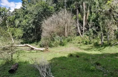 Chácara / sítio à venda na São João, 1111, Zona Rural, Picada Café
