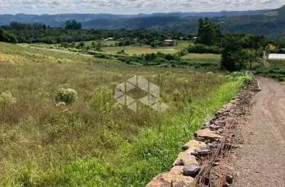 Chácara / sítio à venda na Rs 235, 22, Linha Araripe, Nova Petrópolis