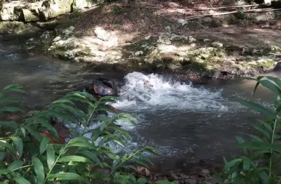 Chácara / sítio à venda na Dos Ackermann, 1000, Zona Rural, Nova Petrópolis