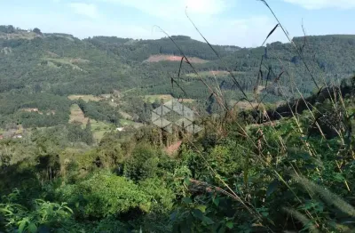 Chácara / sítio à venda na Dos Ackermann, 7500, Zona Rural, Nova Petrópolis