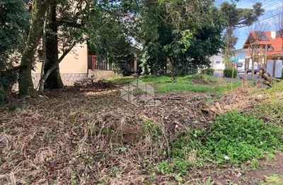 Terreno à venda na Frederico Michaelsen, 800, Logradouro, Nova Petrópolis