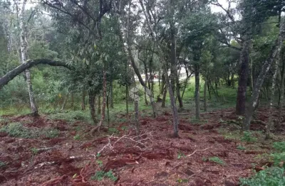 Terreno à venda na Eugenio Adolfo Michaelsen, 10, Vila Germania, Nova Petrópolis