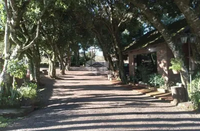 Terreno à venda na Linha Olinda, 1, Vila Olinda, Nova Petrópolis