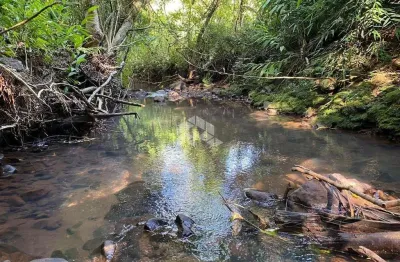 Chácara / sítio à venda na Vila Linha Temeraria, 550, Zona Rural, Nova Petrópolis