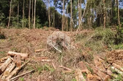 Chácara / sítio à venda na Vereador Fridolino Ludwig, 100, Linha Imperial, Nova Petrópolis