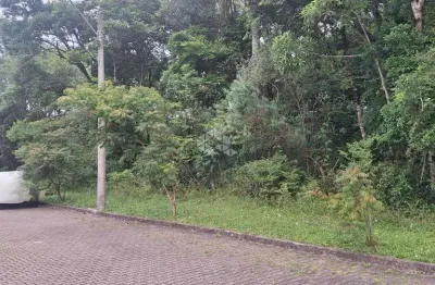 Terreno com 370,50 m2 em área arborizada residencial na serra gaúcha