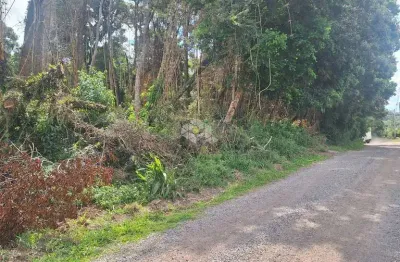 Terreno com 933,66 m2 em área de constante valorização na serra gaúcha.
