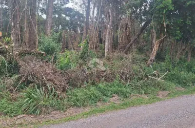 Terreno com 933,66 m2 em área de constante valorização na serra gaúcha.