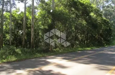Chácara no munícipio de linha nova na serra gaúcha.