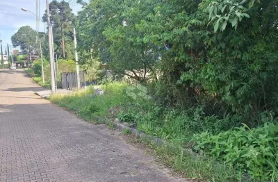 Terreno com 517,04 m2 em área nobre na serra gaúcha por  r$ 540.600,00