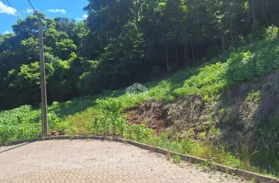 Terreno com 464,02 m2 em área arborizada na serra gaúcha