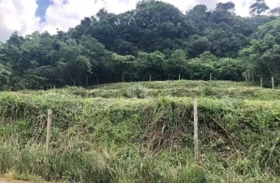 Terreno no pinha alto em nova petrópolis na serra gaúcha