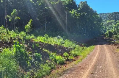 Área de terras com 23.191,73 m2 em constante valorização na serra gaúcha