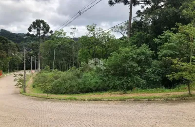 Terrenos no loteamento bosque das araucárias na linha imperial