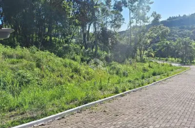 Terreno à venda na Interbairros, 52, Linha Imperial, Nova Petrópolis