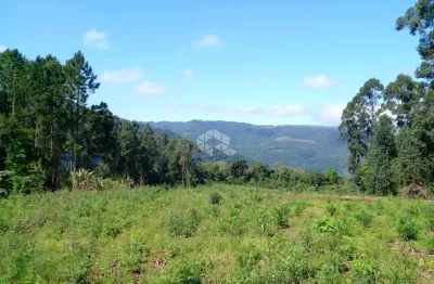 Chácara / sítio à venda na Vicente Prieto, 10760, Pinhal Alto, Nova Petrópolis