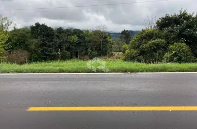 Chácara / sítio à venda na Rs 235, Km 18, 20, Linha Araripe, Nova Petrópolis