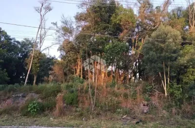 Terreno à venda na Das Calêndulas, 1, Juriti, Nova Petrópolis