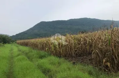 Chácara / sítio à venda na Não Informado, 358, Linha Temerária, Nova Petrópolis