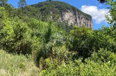 Chácara / sítio à venda na Linha Brasil / Riachuelo, 1, Linha Brasil, Nova Petrópolis