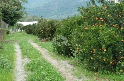 Terreno à venda na Rs 452, 100, Vila Cristina, Caxias do Sul