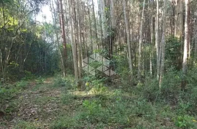 Chácara / sítio à venda na Rs 235, 19, Linha Araripe, Nova Petrópolis