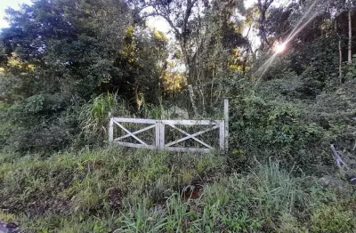 Chácara / sítio à venda na Ninho Das ÁGuias, 941, Linha Temerária, Nova Petrópolis