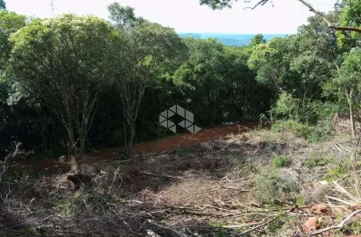 Chácara / sítio à venda na Antonio Schoeller, 10, Linha Imperial, Nova Petrópolis